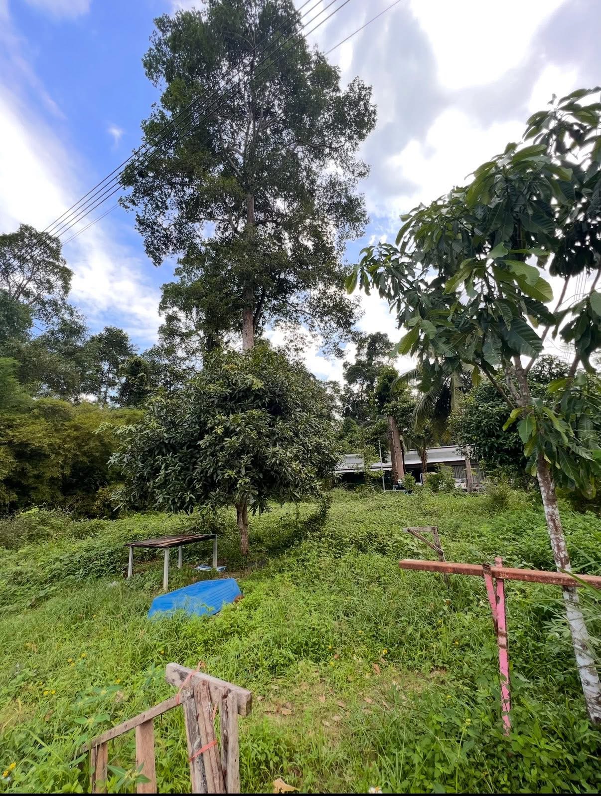 Maenam Hillside Plot